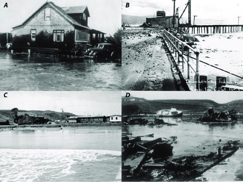 Photographs-of-the-Half-Moon-Bay-area-following-the-April-1-1946-tsunami-Orville_copy.jpg